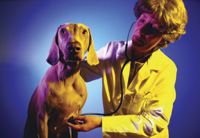 veterinary_dog_checkup-670170-1384318714514.jpg