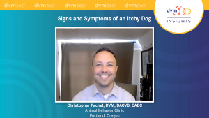 Calming Methods for Restless Itchy Dogs