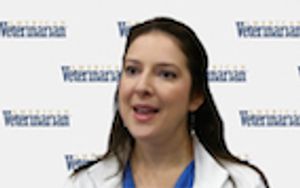 Importance of Addressing Pet Behavior Problems