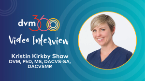 How osteoarthritis affects cats