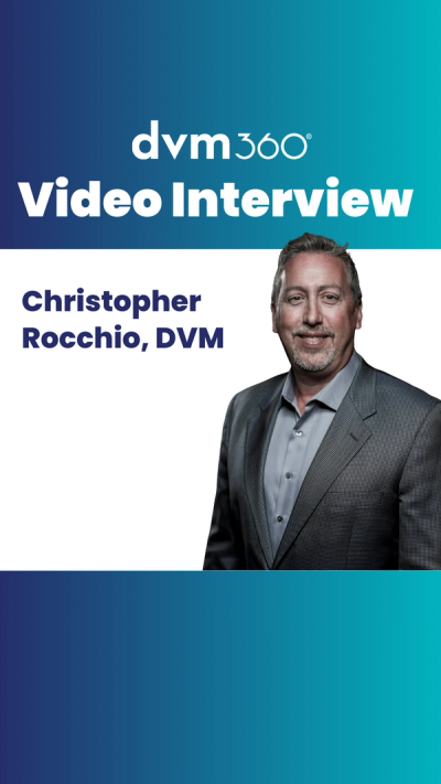 How has the marketing for selling veterinary practices changed in the last few years?