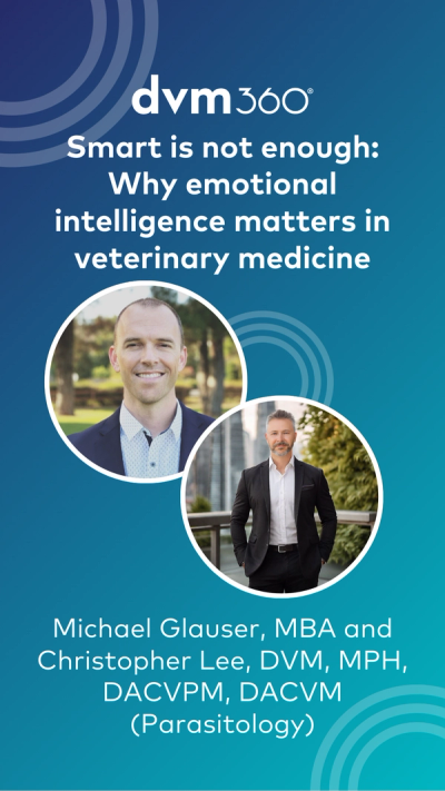 What makes a great leader in veterinary medicine?