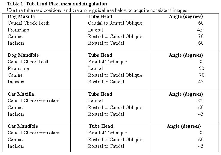 Veterinary dental radiography simplified (Proceedings)
