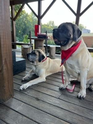 Wellness comes in all shapes and sizes