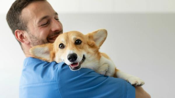 Quarterable Previcox tablets expand dosing options for dogs