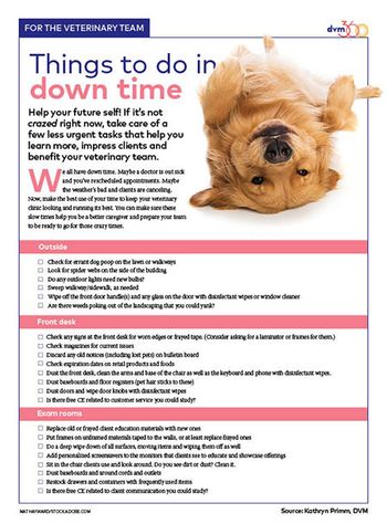dvm360-team-handout-down-time-450px.jpg