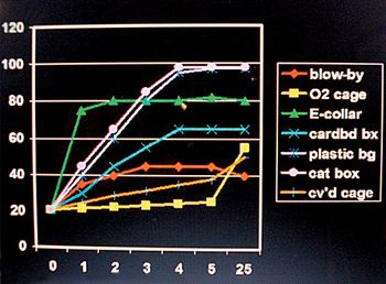 veterinary_oxygen_6_460-651195-1384344206551.jpg