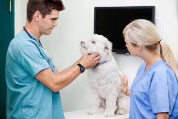 Clinical trial career options for veterinary technicians