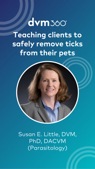 Teaching clients to safely remove a tick from their pet