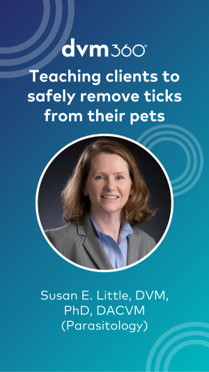 Teaching clients to safely remove a tick from their pet