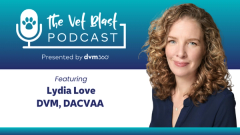  Building safer veterinary teams