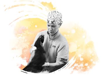 veterinary-alane-cahalane-article