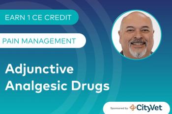 Adjunctive Analgesic Drugs