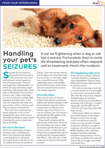 seizure-client-handout-450.jpg