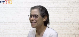 Benefits of social media for pets with physical disabilities 