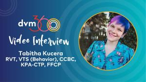 Tips for identifying pain in cats