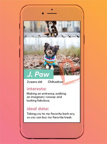 veterinary_chihuahua_j_paw_450.jpg