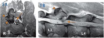 i1-425679-1384753595957.jpg