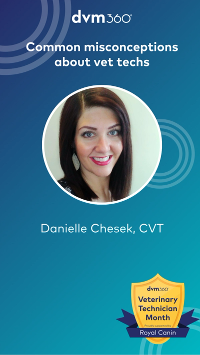 Common misconceptions about vet techs