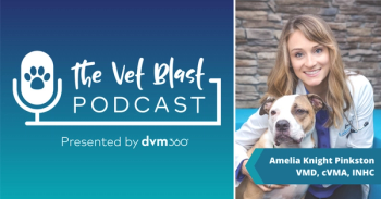 The Vet Blast Podcast with Kelly Cairns