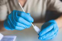 Cat-to-human transmission of highly pathogenic avian influenza virus confirmed 