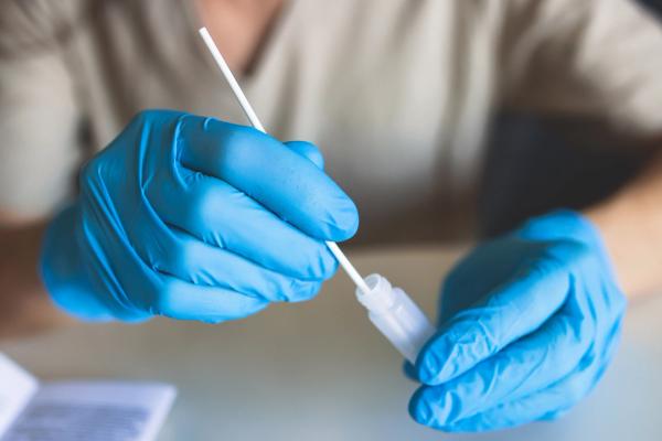 Cat-to-human transmission of highly pathogenic avian influenza virus confirmed