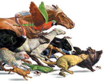 Stampedeanimals-841169-1404210004038.jpg