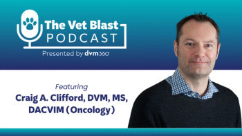 IBD or lymphoma? Sorting out the feline GI puzzle