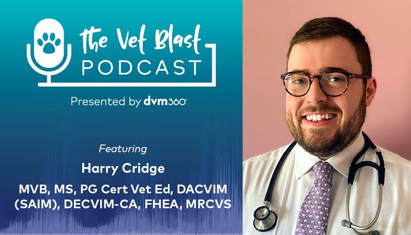 Vet Blast Podcast with Harry Cridge