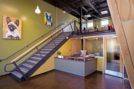 upstate veterinary hospital