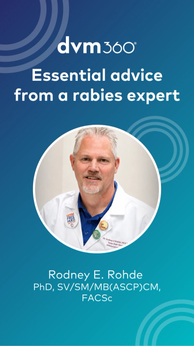 Essential advice from a rabies expert