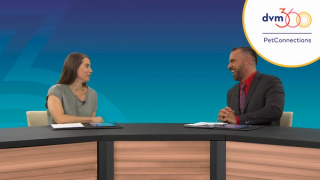 zoetis reference laboratories panel discussion pet connections