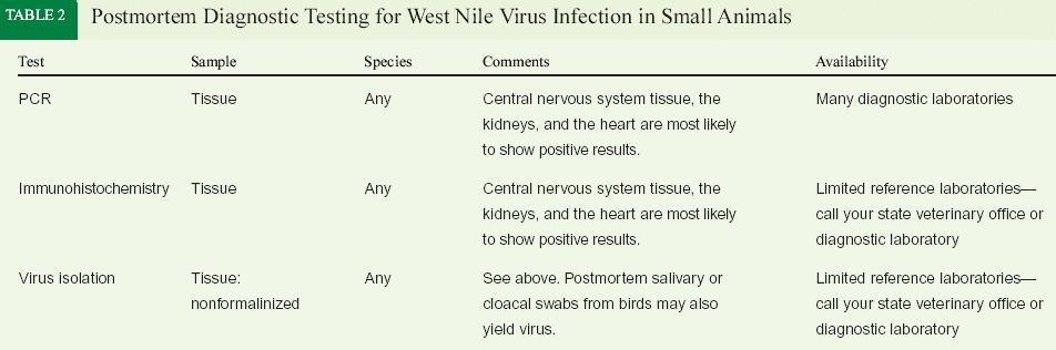 can my dog get west nile virus