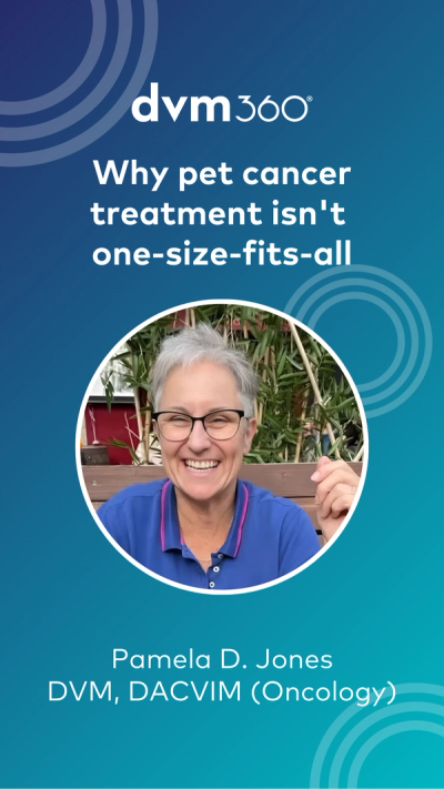 Why pet cancer treatment isn't one-size-fits-all