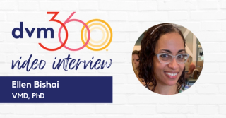 A personal battle with feline heartworm disease and why cats should be on heartworm prevention