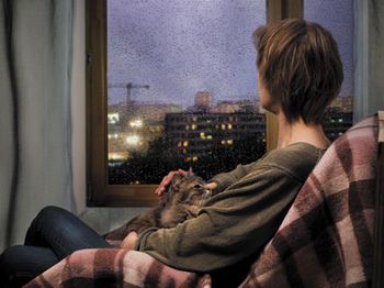 veterinary-the-woman-in-the-room-by-the-window-night-rain-shutterstock-479042581-body.jpg