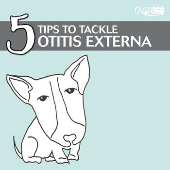 veterinary-5tips-for-otitis-externa-450.jpg