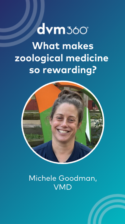 What makes zoological medicine so rewarding?