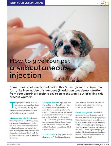 Subcutaneous Injection Sites In Dogs