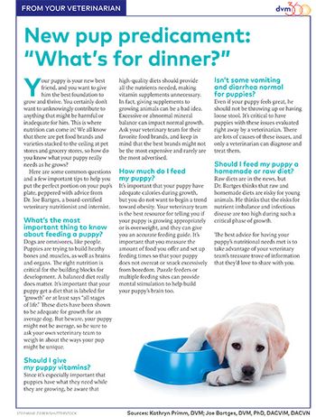 veterinary_puppy_nutrition_handout_450.jpg