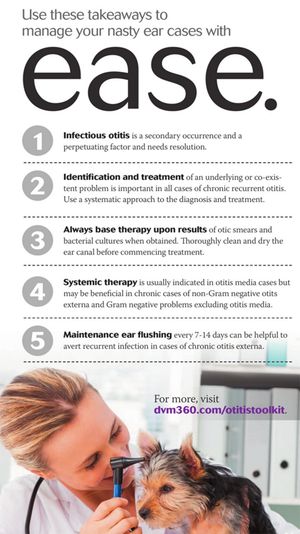 veterinary-otitis-ease.jpg