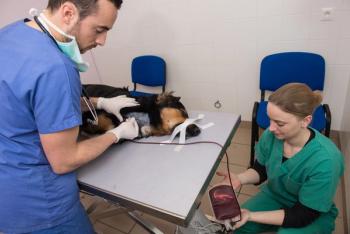 Veterinary blood bank
