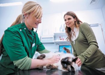 veterinary-vet-tech-client-cat-exam-communication-159615206-823643-1404217329969.jpg