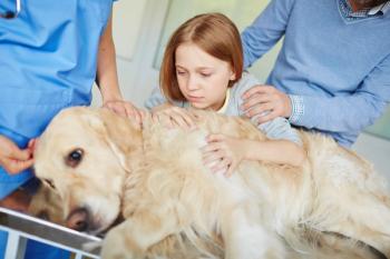 End-of-life pet care