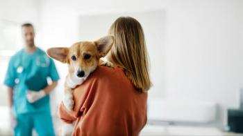 pet dog