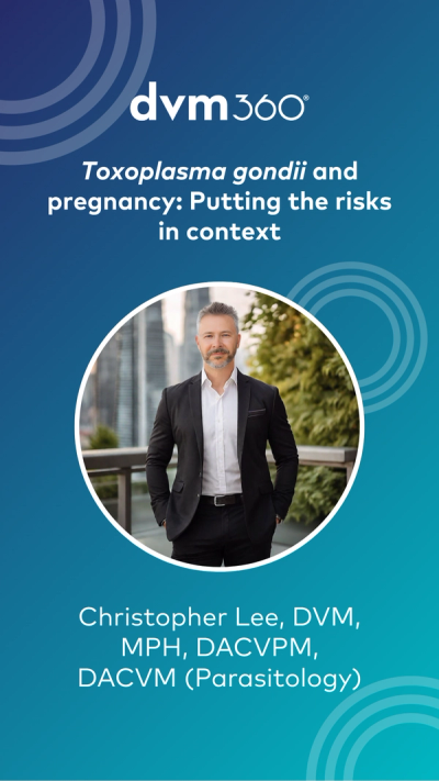 Toxoplasma gondii and pregnancy: Putting the risks in context