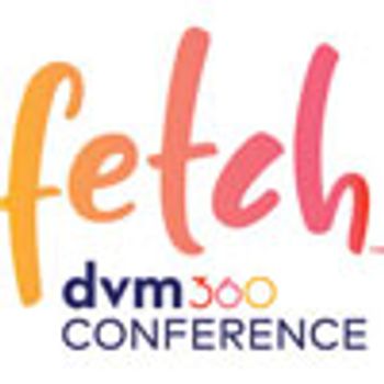 Fetch-100.jpg