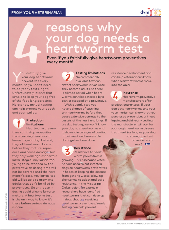is heartworm test for dogs necessary