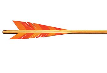 bow_arrow450.jpg