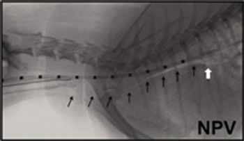 Jan-radiology-Fig.4_t-701968-1384213613186.jpg